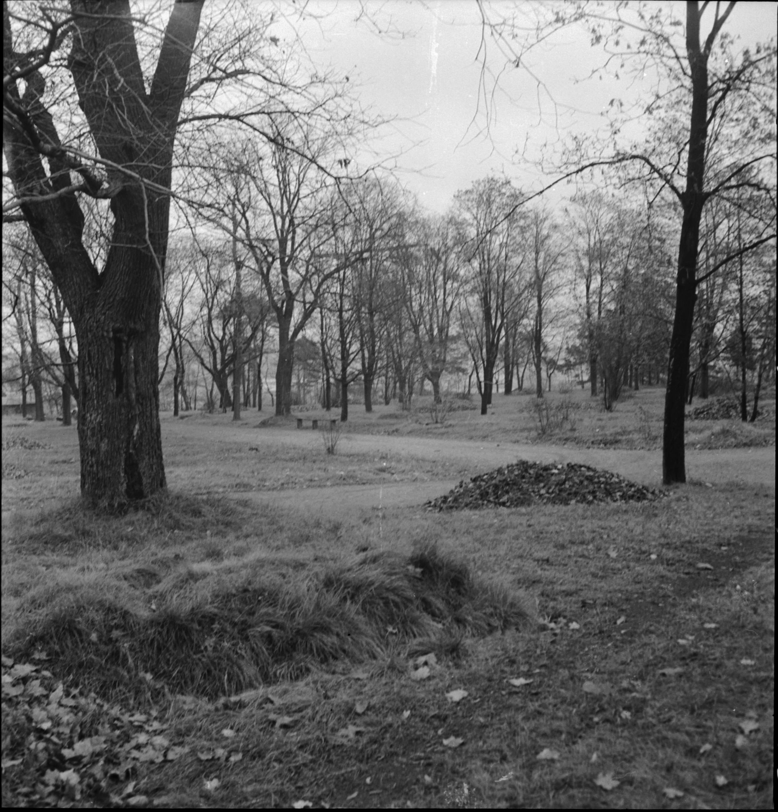 Iwar Anderson, Stockholm, Johanneshovs kolerakyrkogård