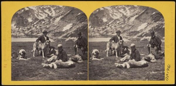 William England, Dogs of the St. Bernard Hospice