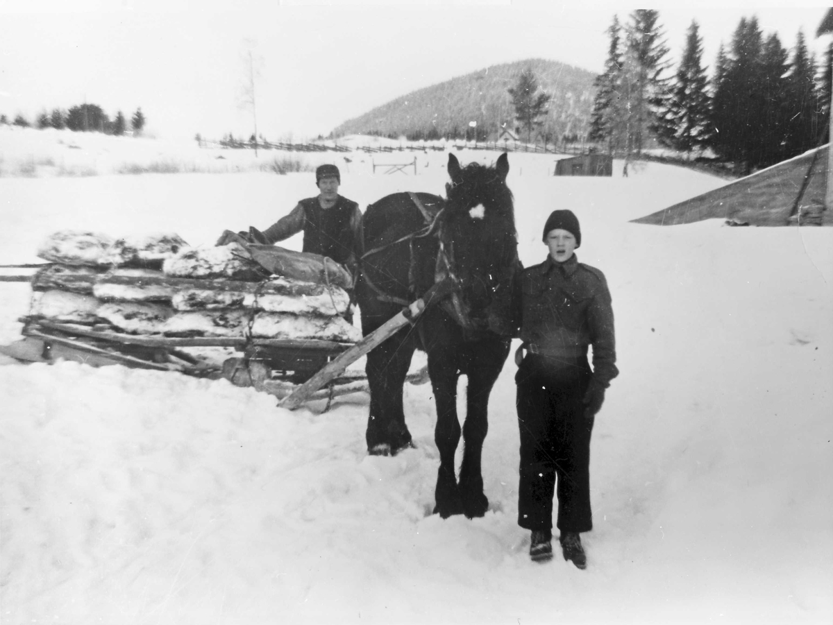 Rachel Haarseth, Menn, hest, slede, kugjødsel, naturforhold.