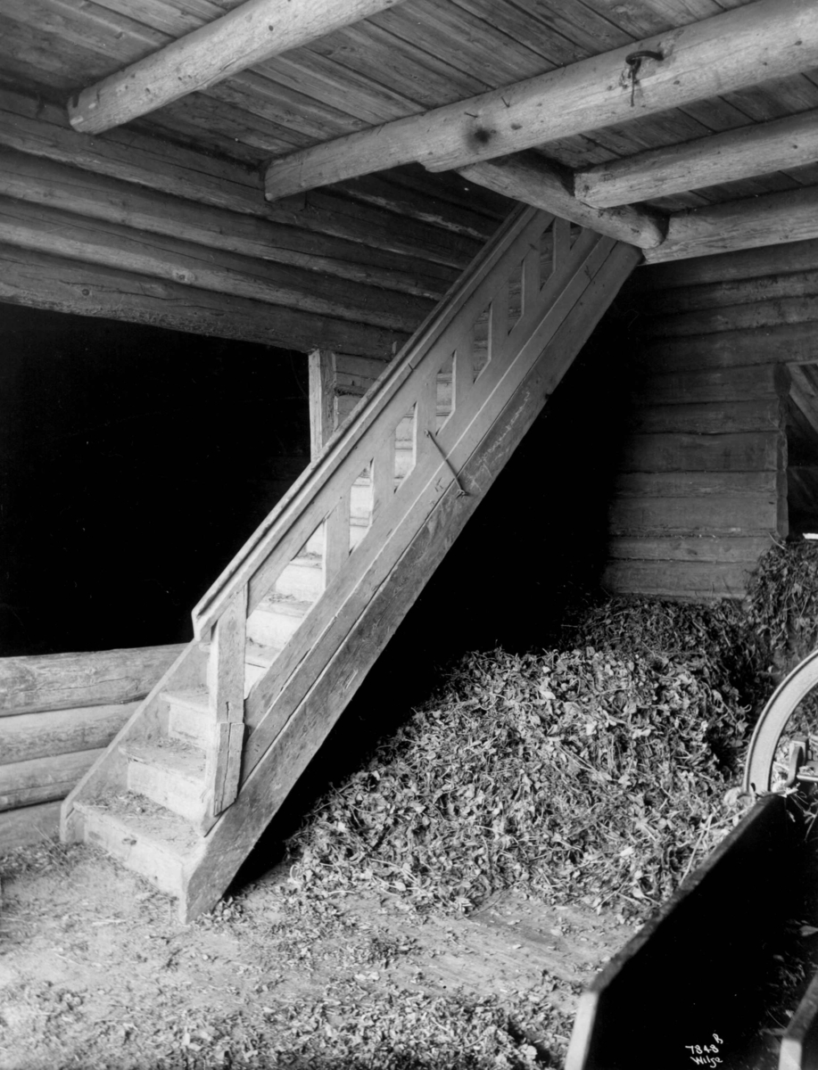 Anders Beer Wilse, Voldsløkka, Oslo 1915. Låve, interiør med trapp.