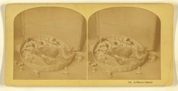 Benjamin West Kilburn, A Happy Family.