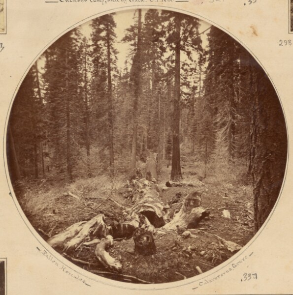 Carleton Watkins, Hercules. View from the Top.