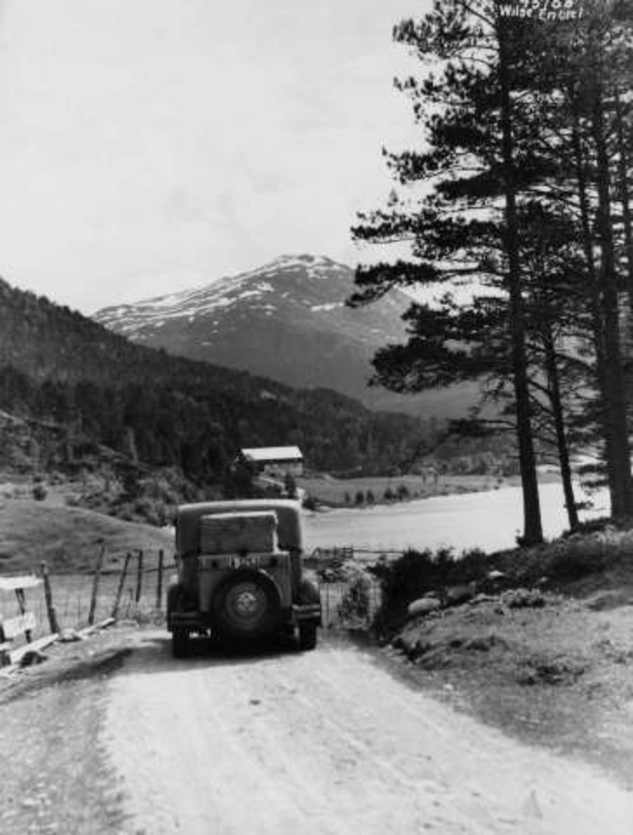 Anders Beer Wilse, -6934
