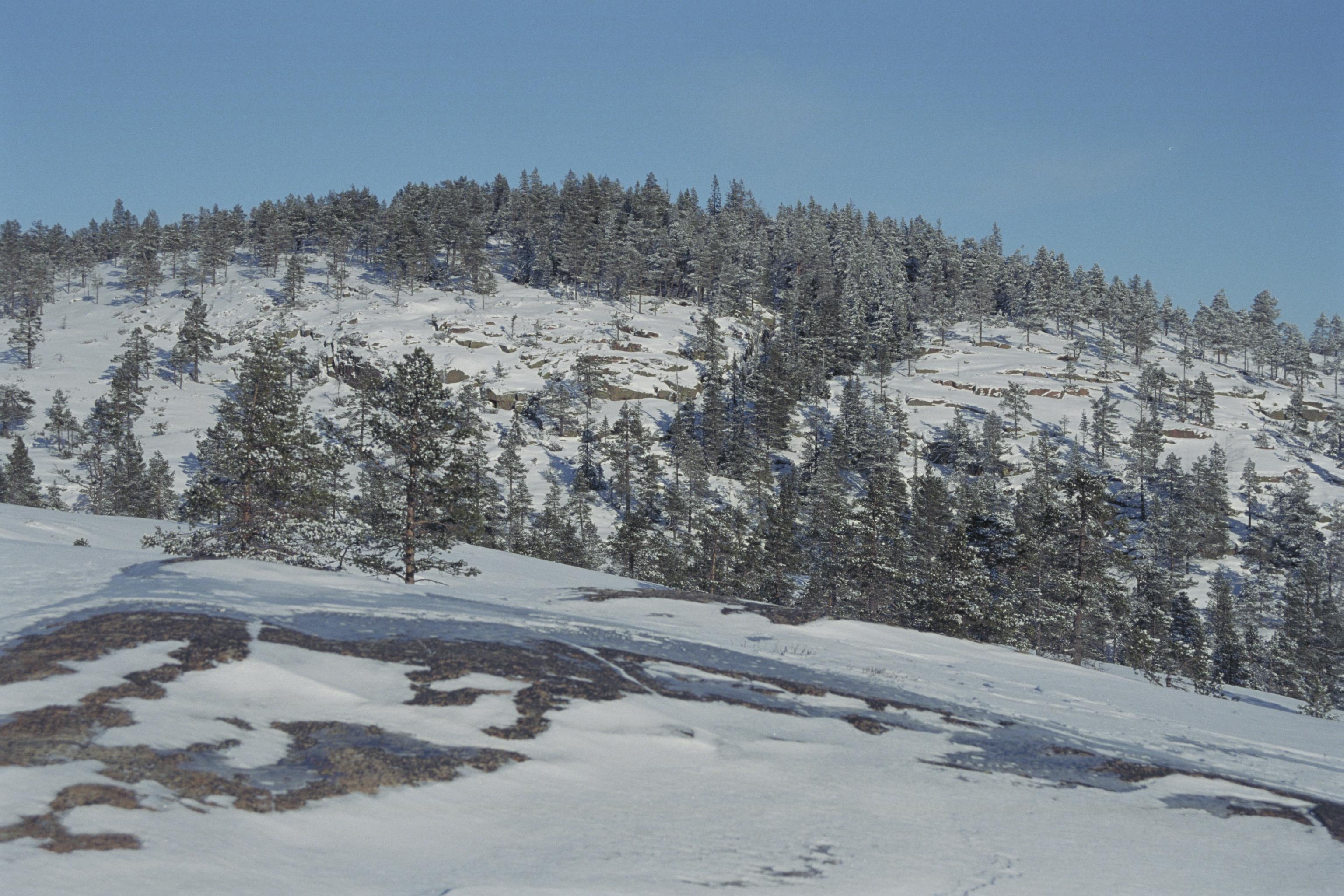 Bengt A Lundberg, Skuleskogens Nationalpark