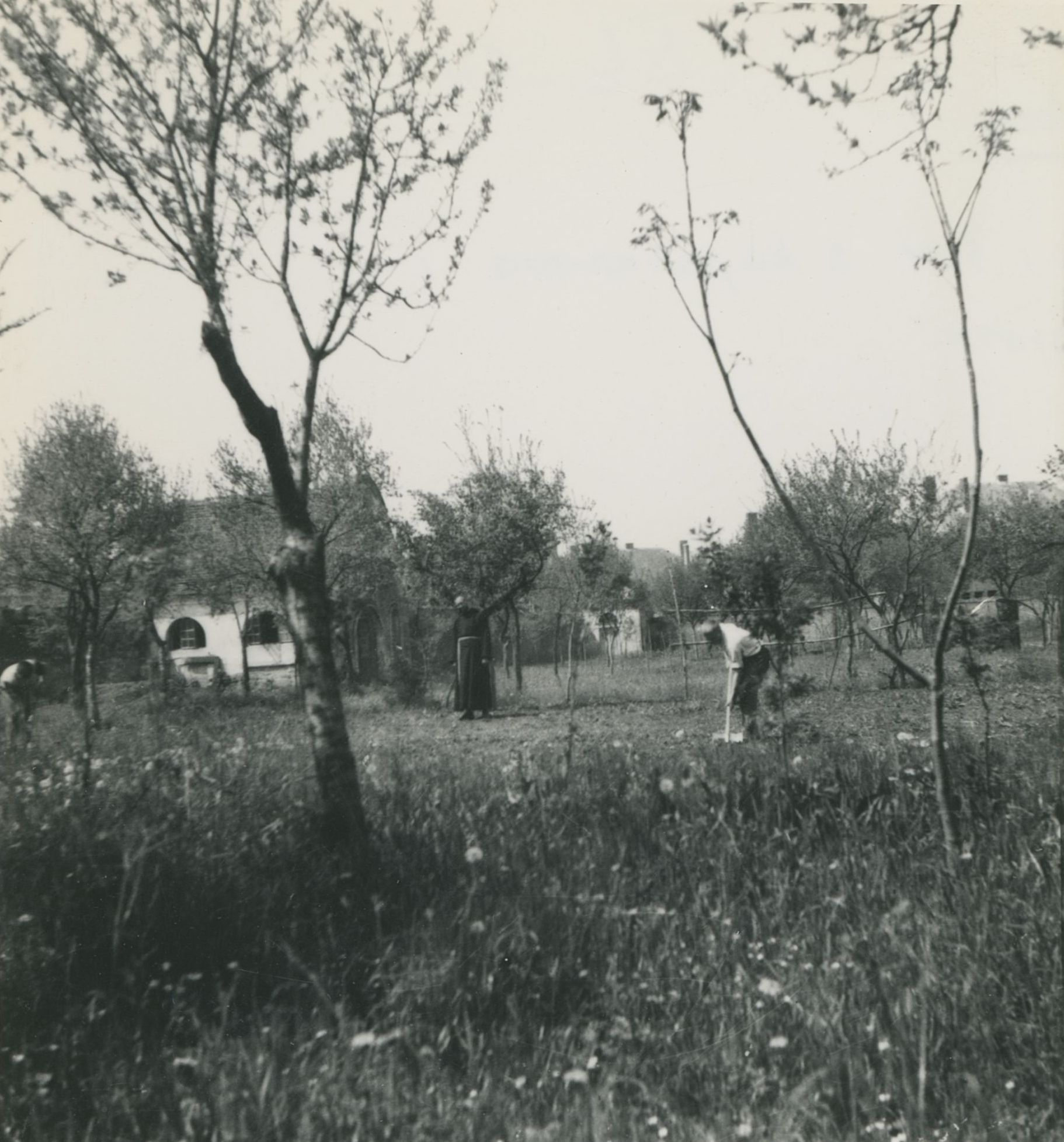 neutvrđen autor, Varaždin - kapucinski samostan