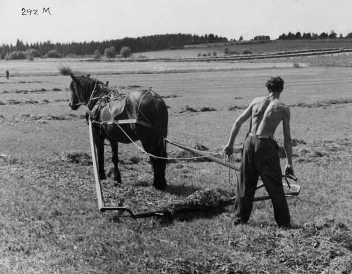 Anders Beer Wilse, -8028