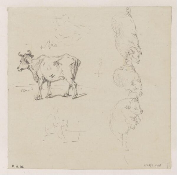 George Chinnery, A cow and three pigs