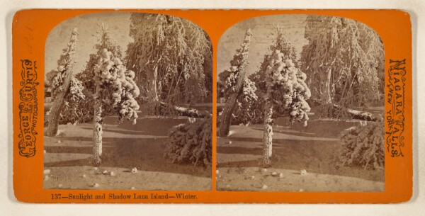 George E. Curtis, Sunlight and Shadow Luna Island - Winter. [Niagara Falls]