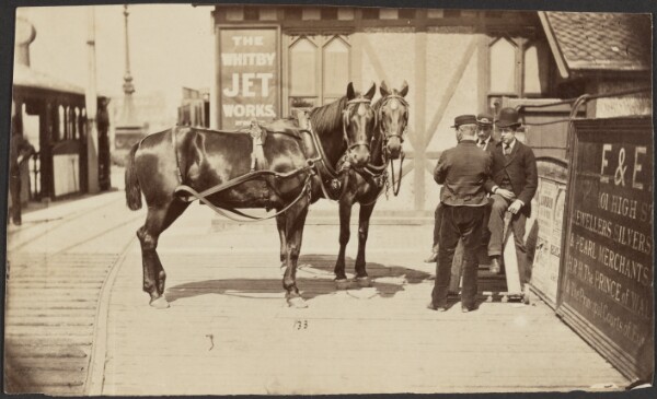 Unknown, [Horses outside the Whitby Jet Works]