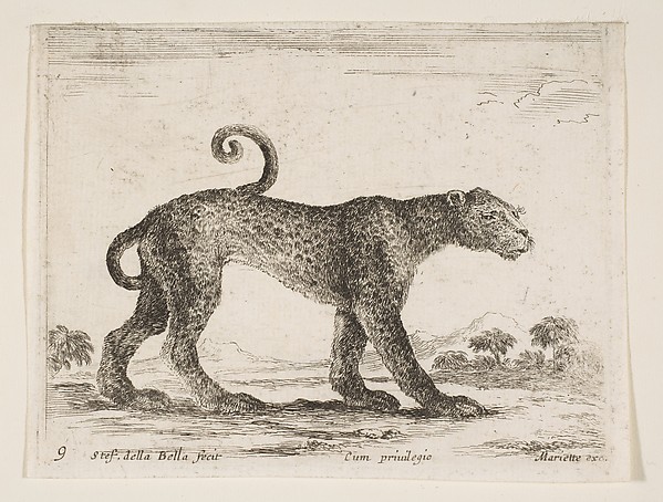Stefano della Bella, Leopard, plate 9 from "Various Animals" (Diversi Animali)