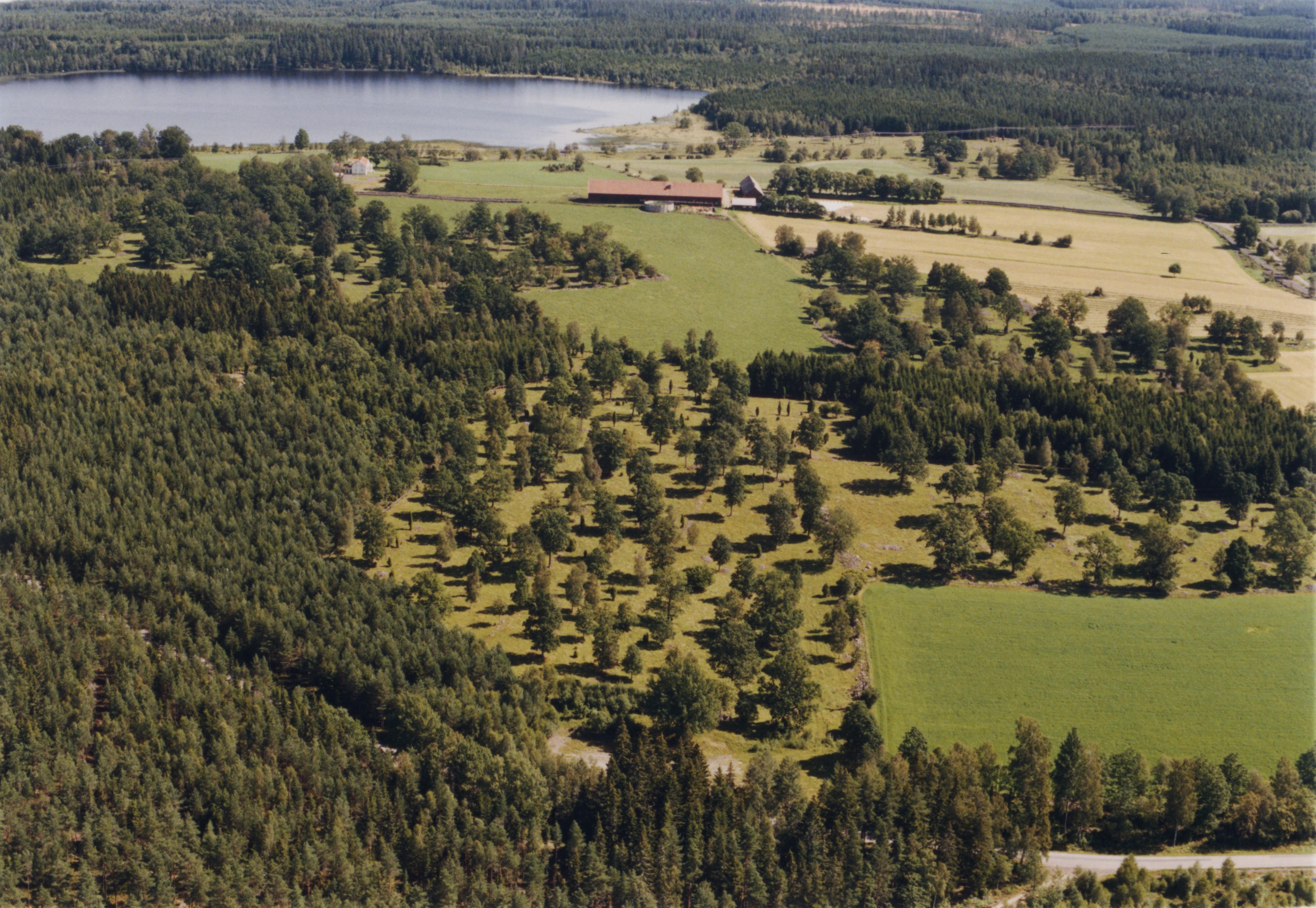 Jan Norrman, Lenhovda 113:1