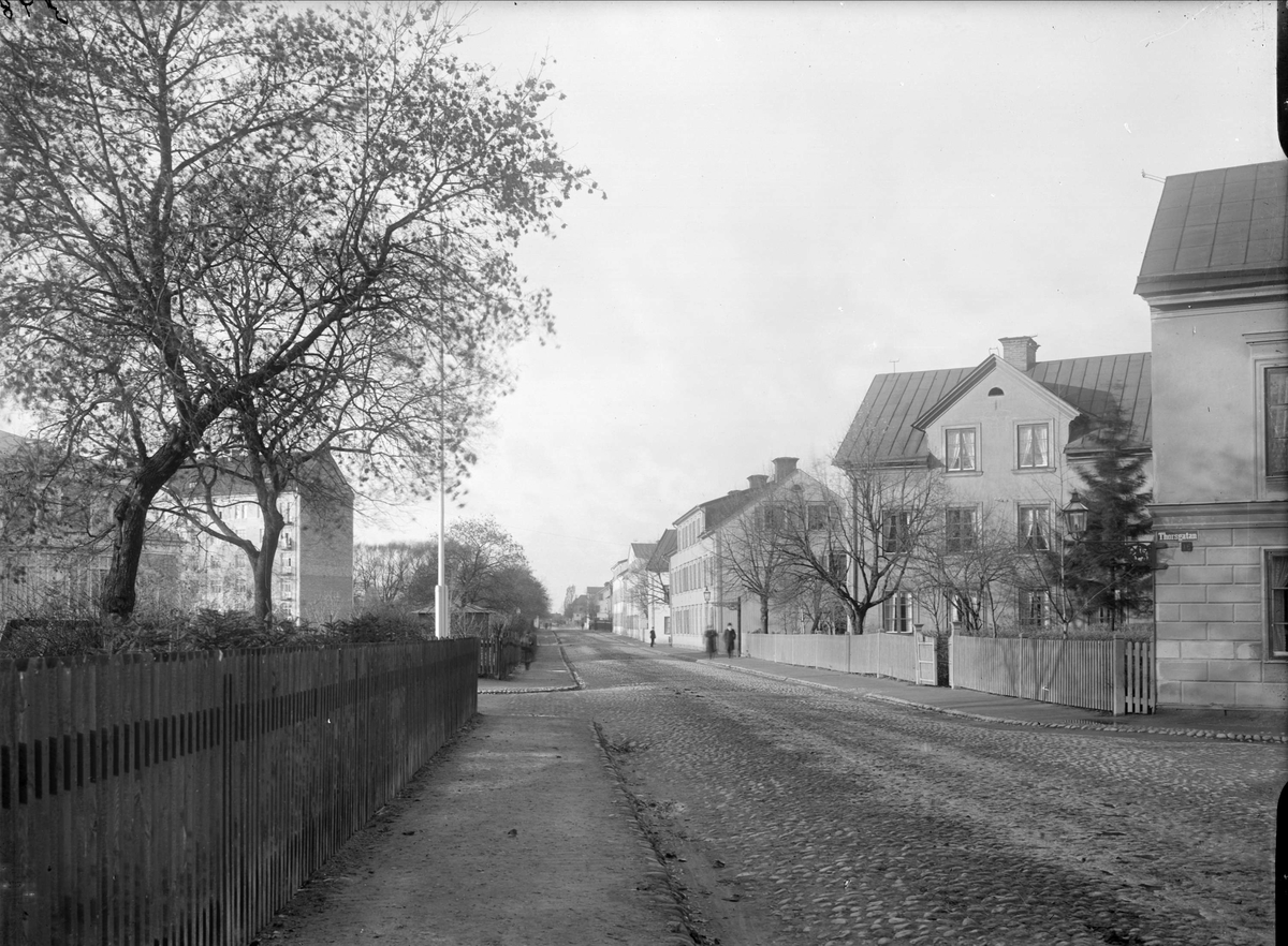 Alfred Dahlgren, The Beginning Street - TorsBörj, Luthagen, Uppsala 1901 - 1902