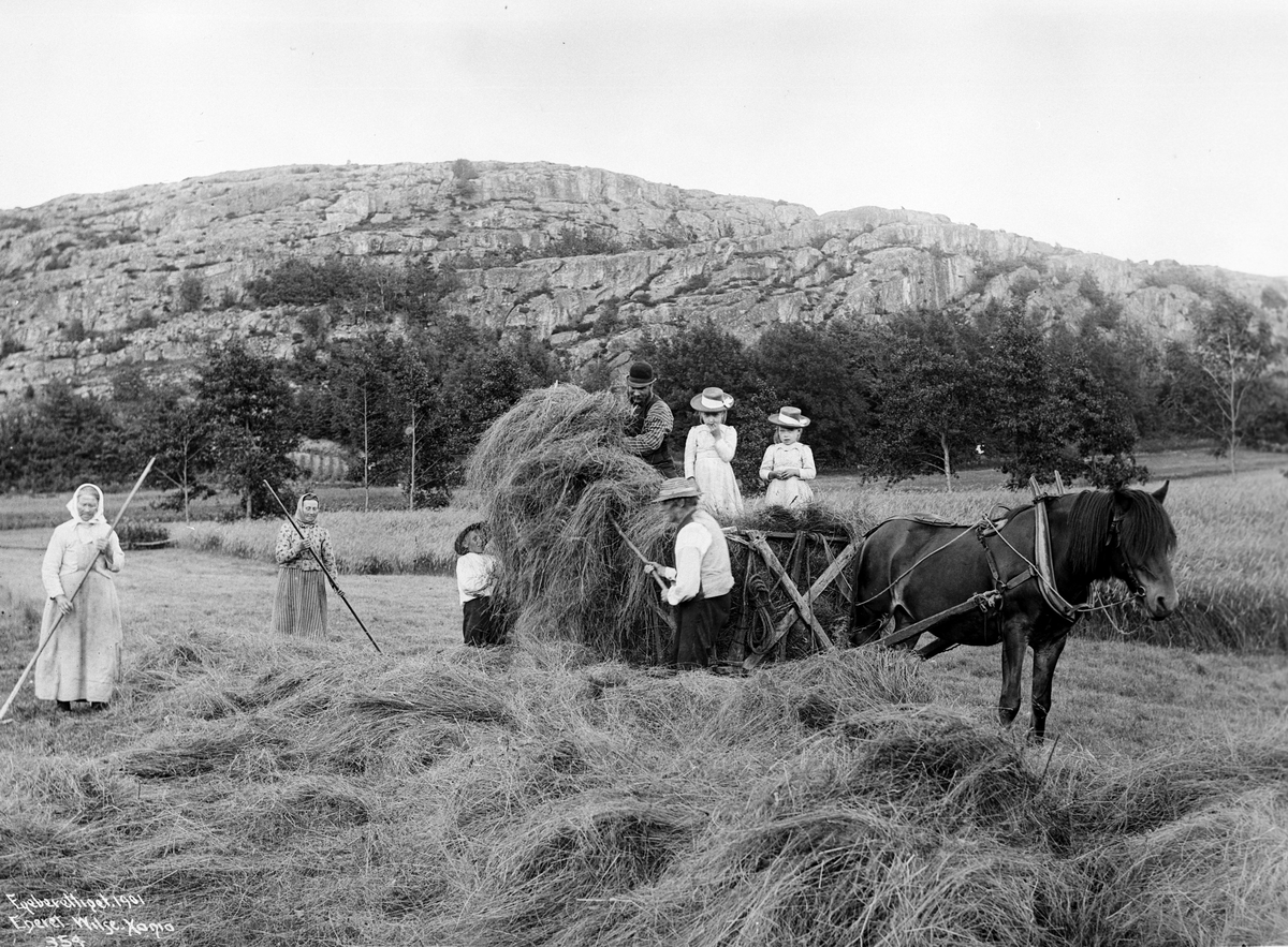 Anders Beer Wilse, Prot: Tjømø Høiaand inkjøring av høiet Juli 1903