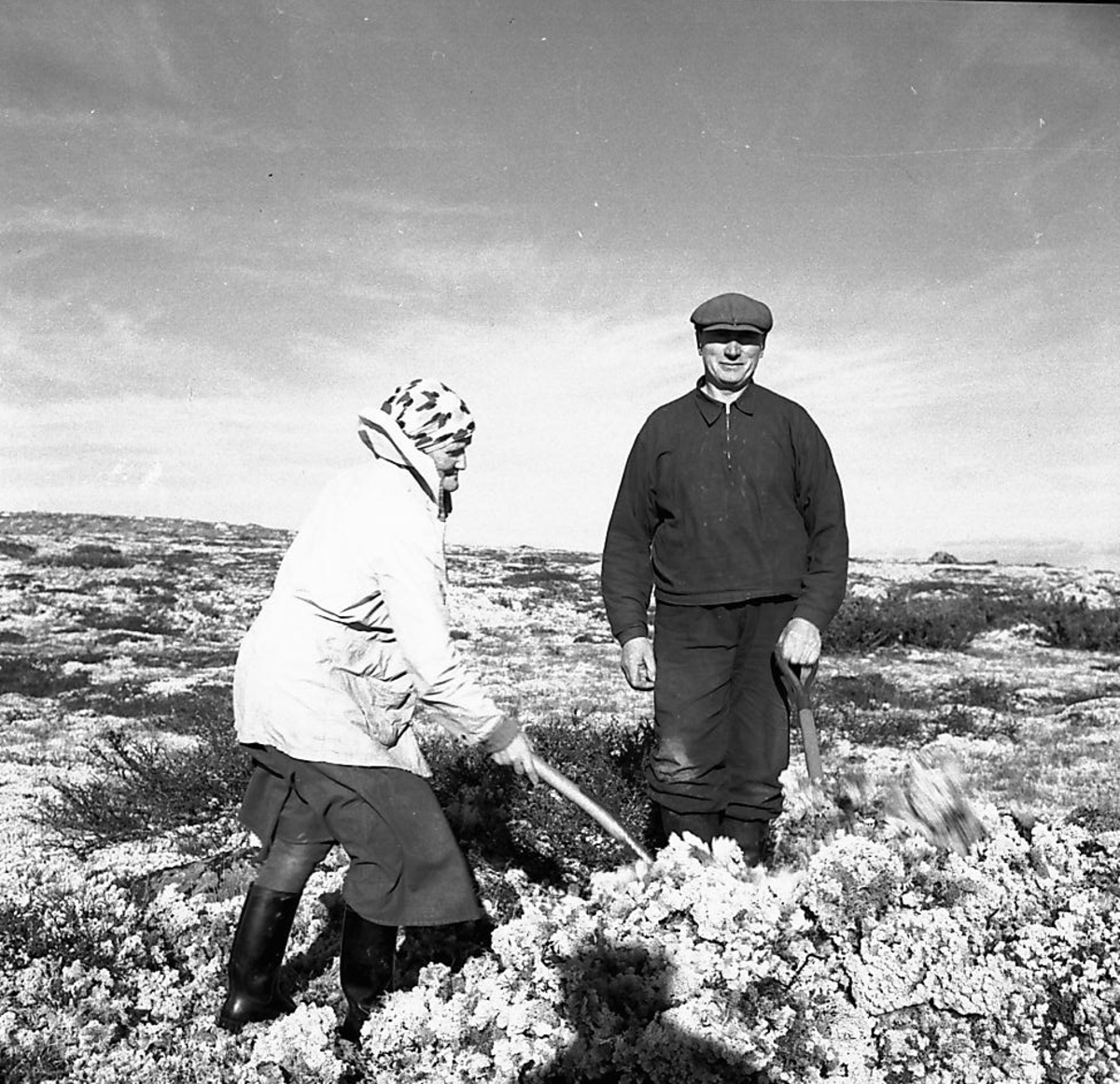 Per Magne Grue, Måssåtaking i Øversjødalen.