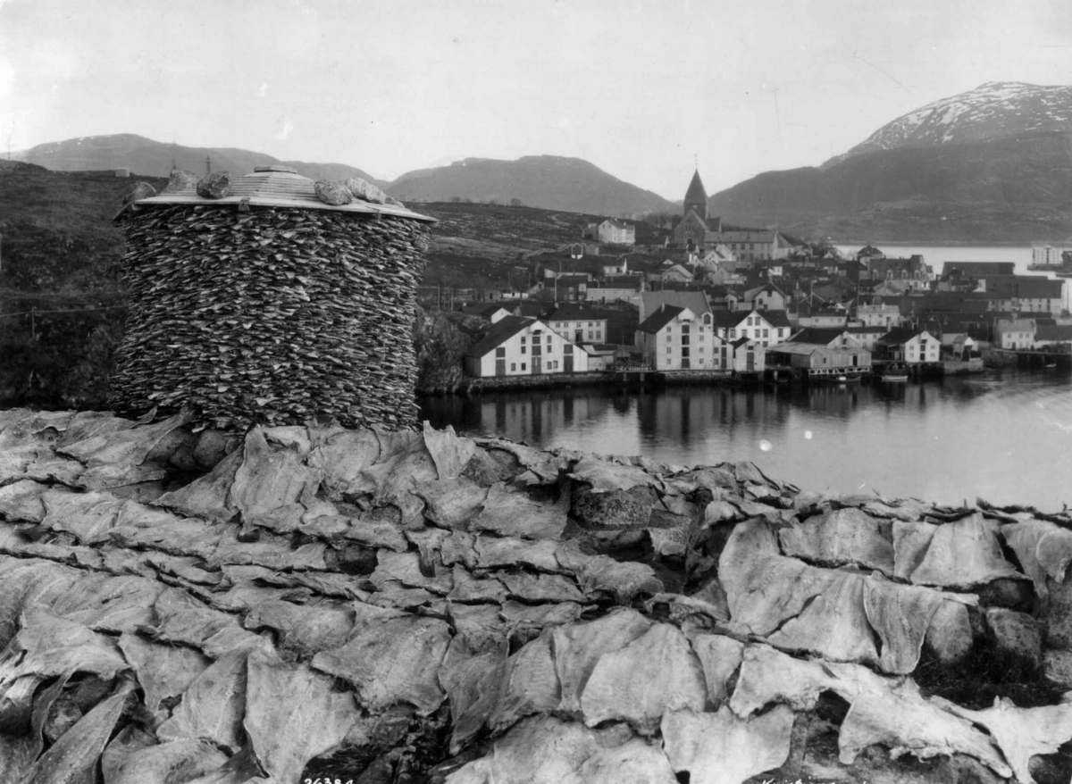 Anders Beer Wilse, Klippfisktørking