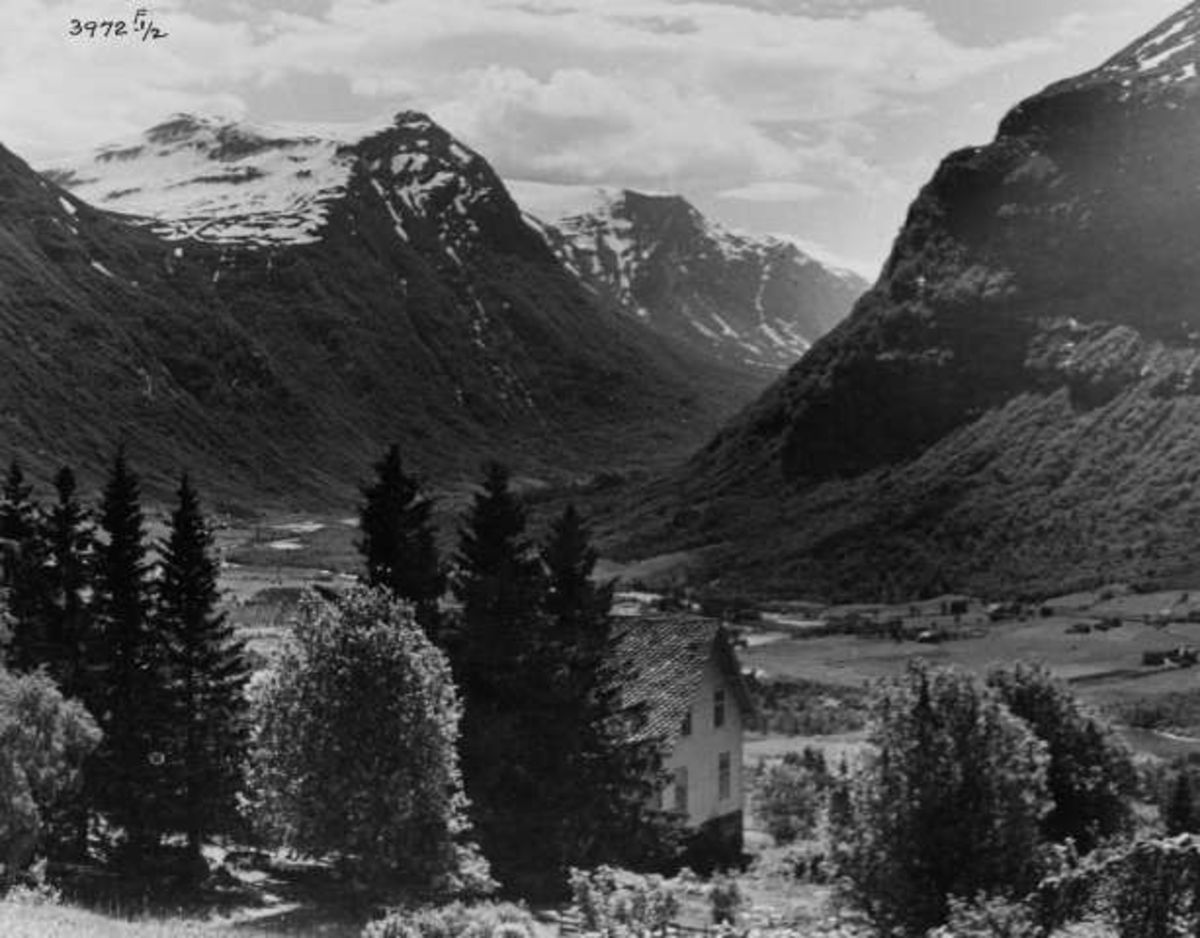 Anders Beer Wilse, -6944