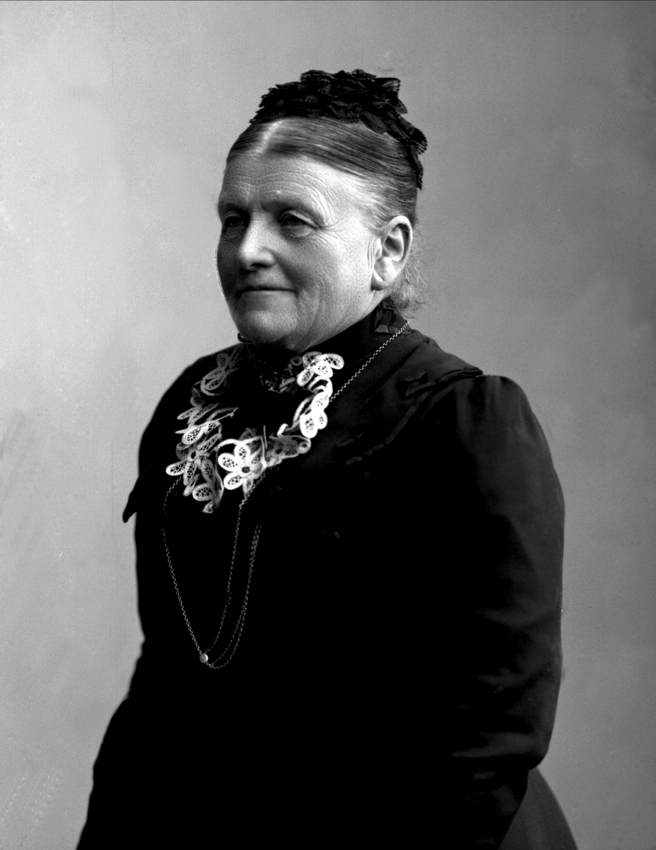 Gustav Borgen, NFB.24766