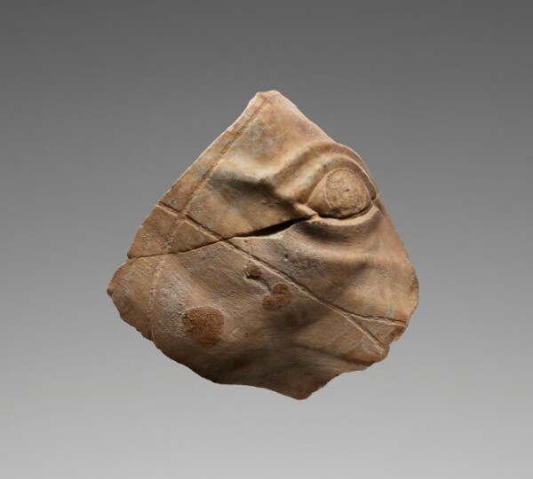Unknown, Fragment of a Relief of a Horse's Head