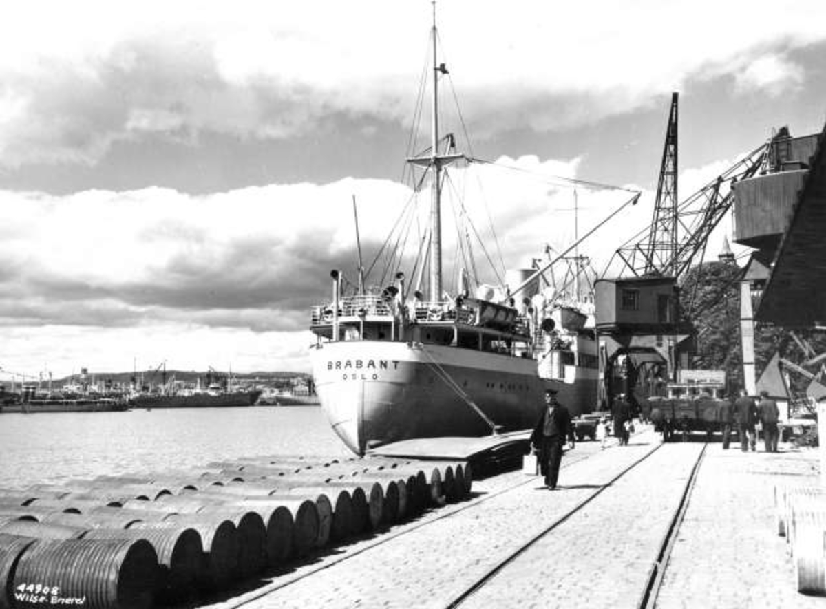Anders Beer Wilse, Dampbåter/Skip, Motorbåter/Skip
