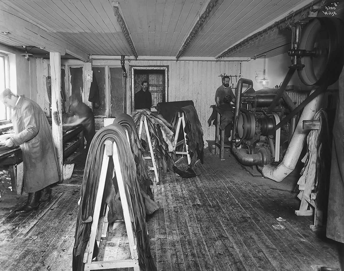 Anders Beer Wilse, Prot: Biongs Garveri 4de Etage