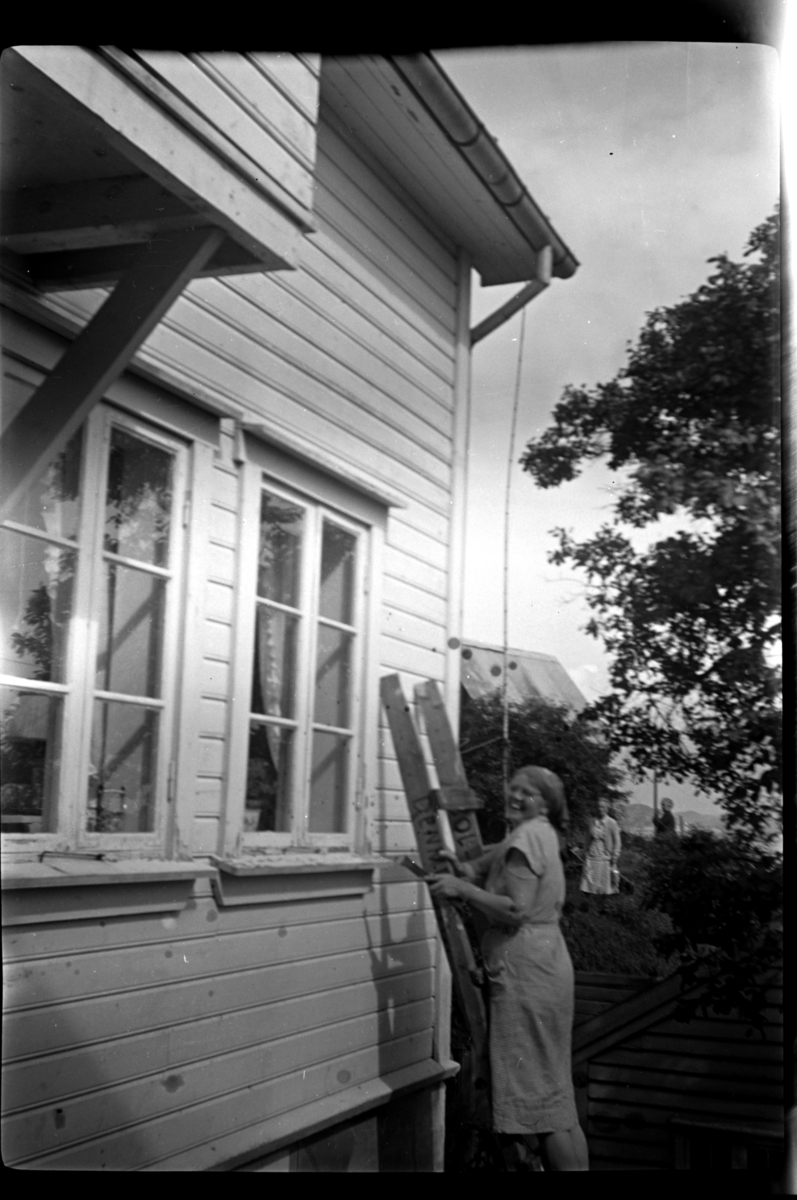 Rolf Sr. Sundt, NF.34664-703