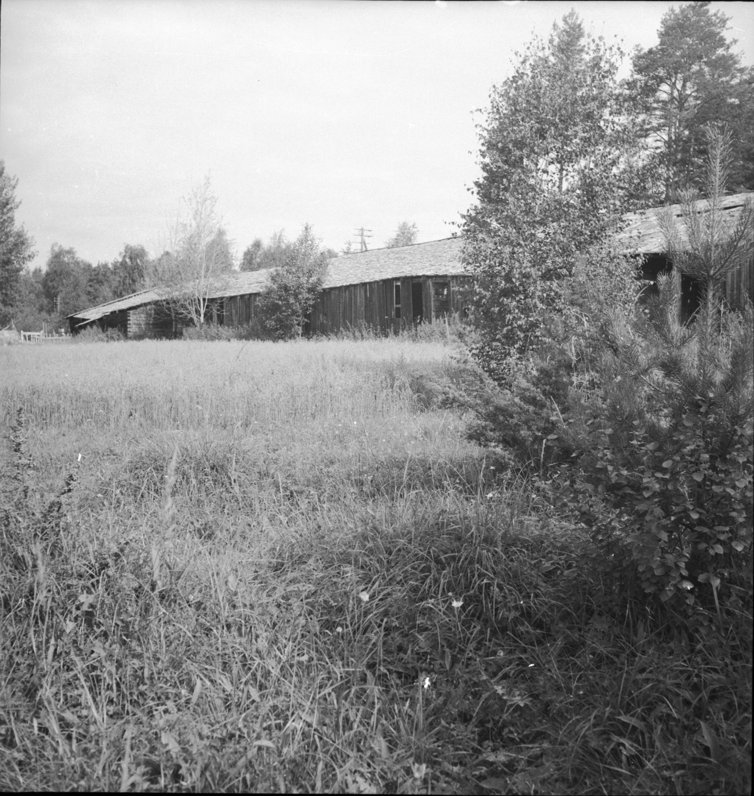 Per Olof Westlund, Borgsjö kyrka