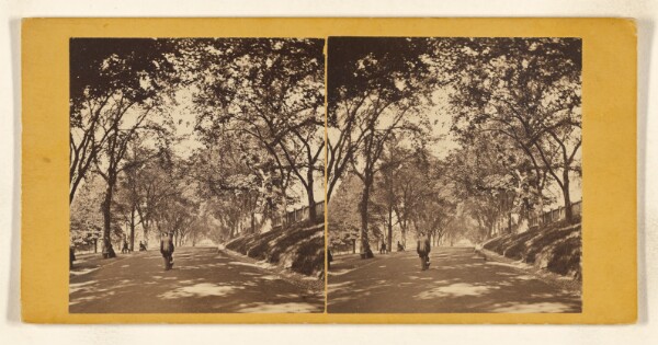 John B. Heywood, Beacon Street Mall. [Boston, Mass.]