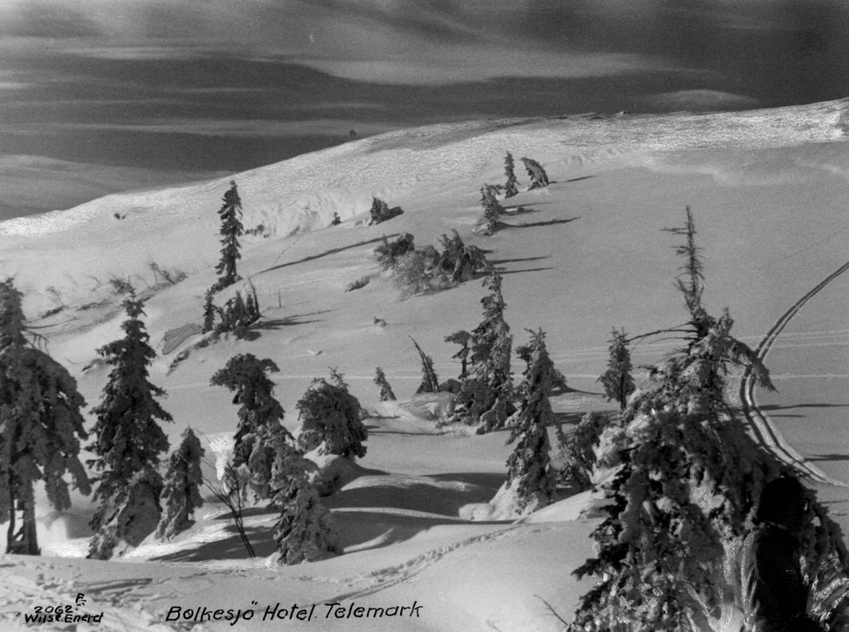Anders Beer Wilse, Bolkesjø, Notodden, Telemark. Vinterlandskap.