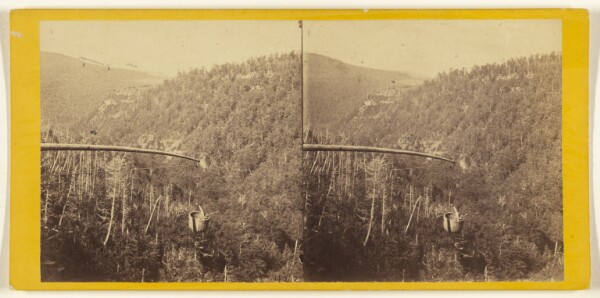 Edward and Henry T. Anthony & Co., The Glens of the Catskills. View from the top of the Kauterskill Fall, looking down the Glen.