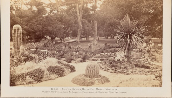 Carleton Watkins, Arizona Garden, Hotel Del Monte, Monterey