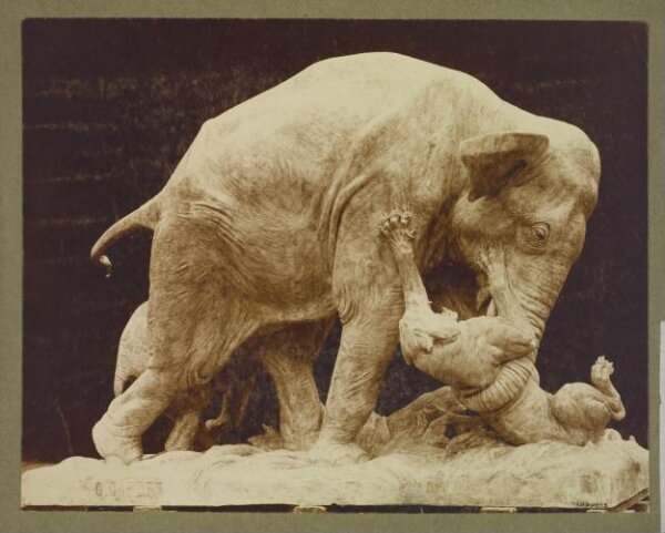 unknown, Photograph