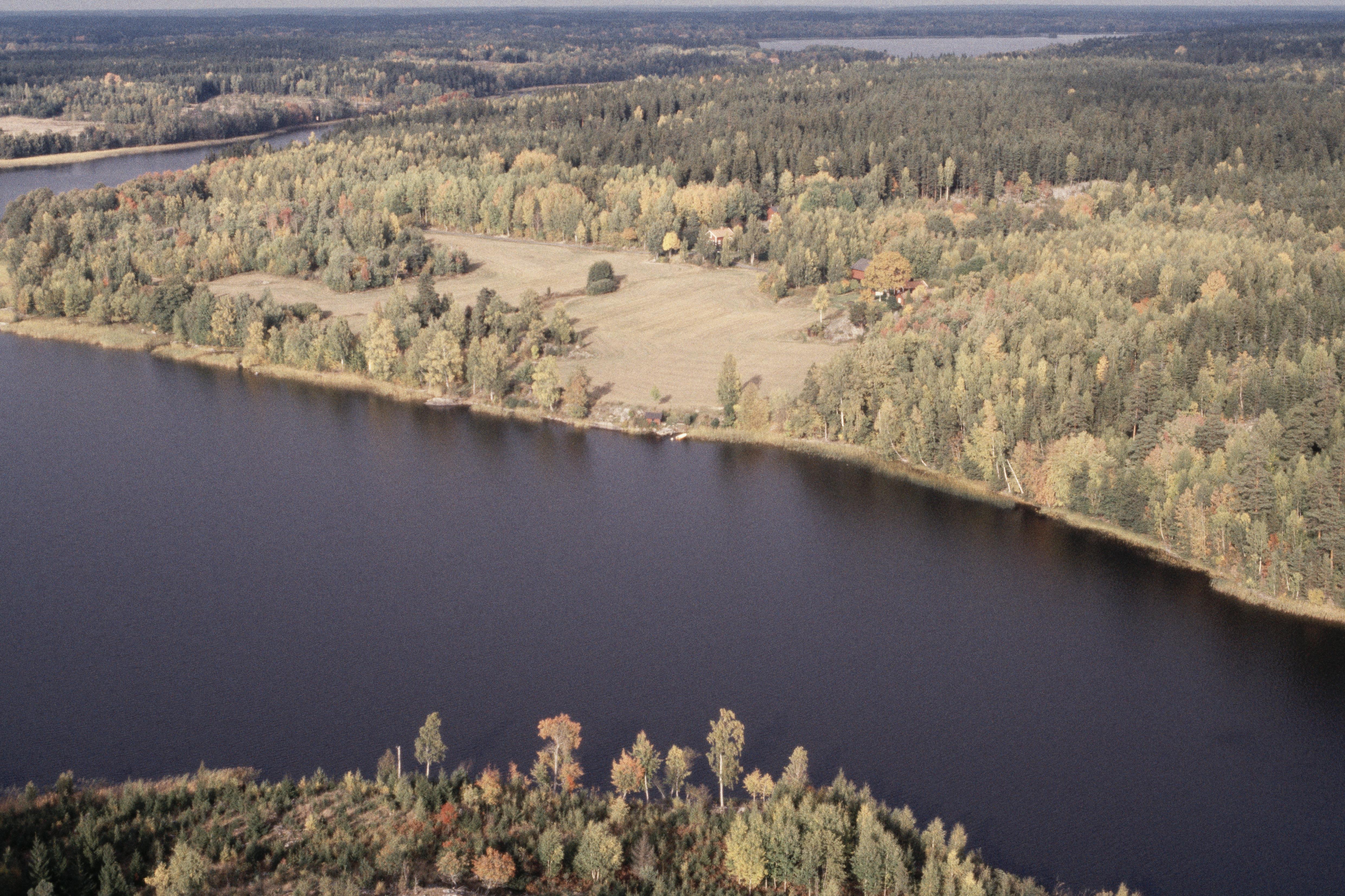 Jan Norrman, Näshulta 99:1
