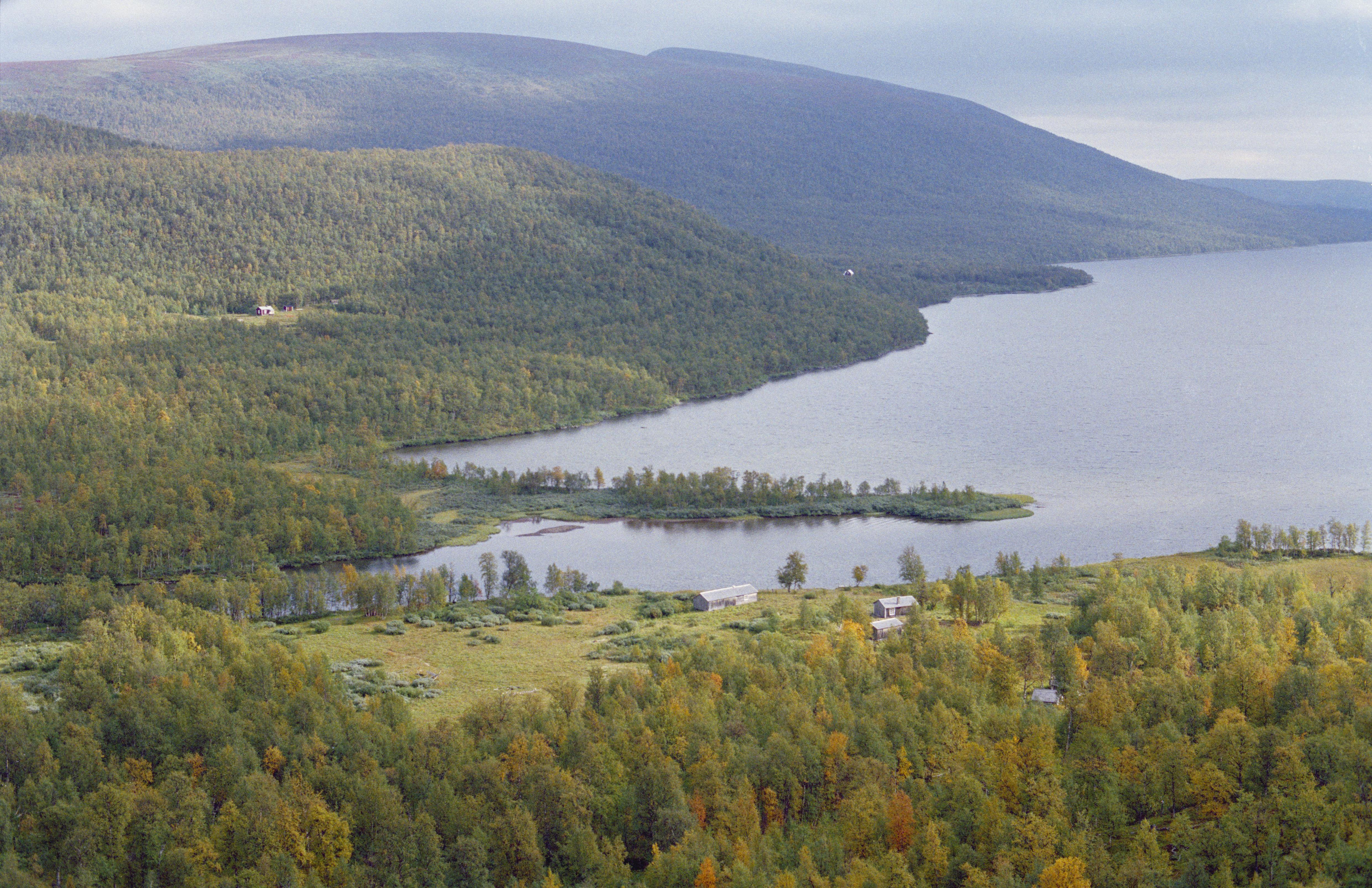 Jan Norrman, Matsokudden