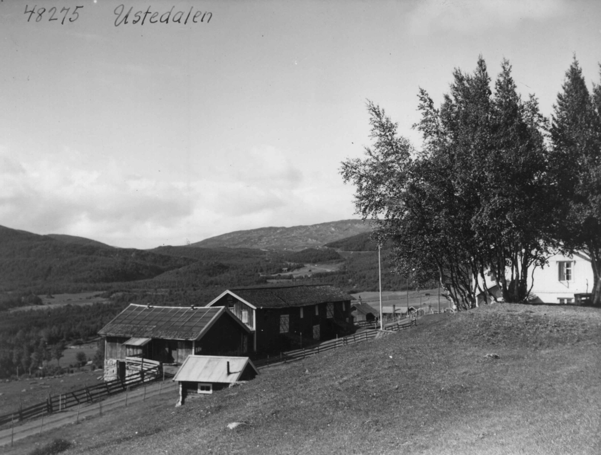 Anders Beer Wilse, Ustedalen, Bebyggelse