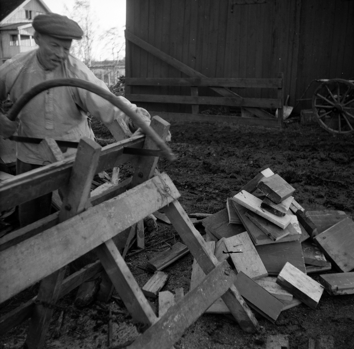 Adolf Skjegstad, VEDSAGING, UKJENT MAN SAGER OPP PLANKER TIL VED, BUESAG, SAGKRAKK.
