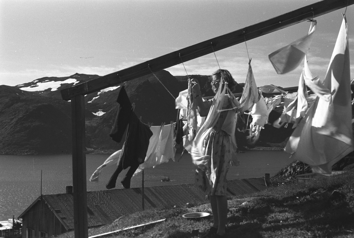 Ola Hanche-Olsen, NO.F003954