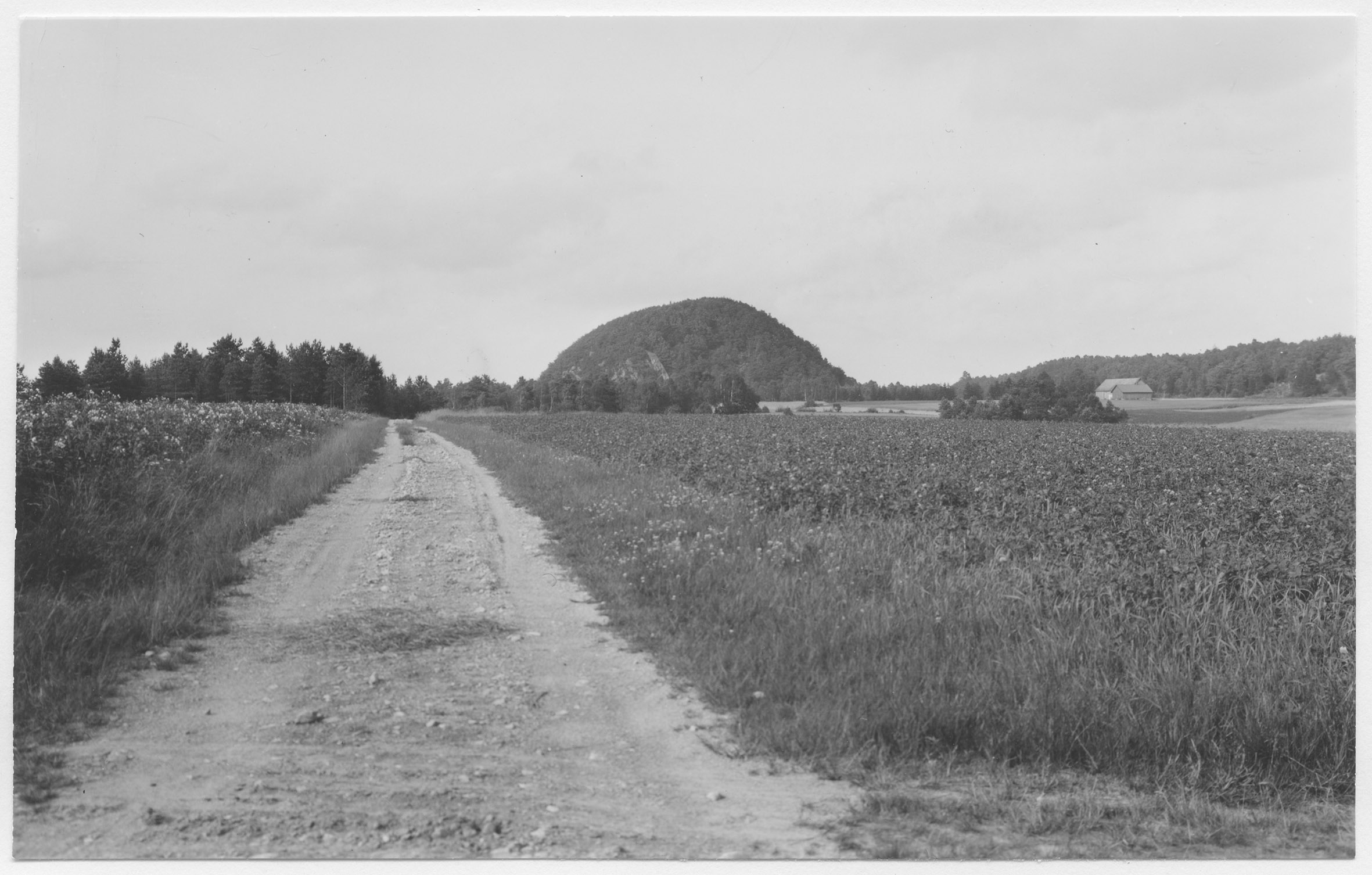 Mårten Sjöbeck, Virsehult
