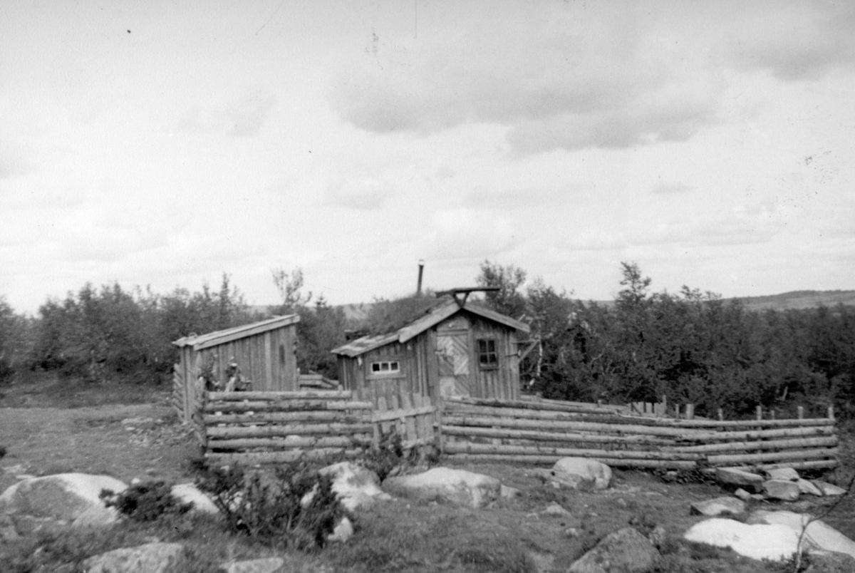Håkon Prestkværn, Hytta til Ludvig Olestadengen, Luddenhytta ca. 1938-1939.