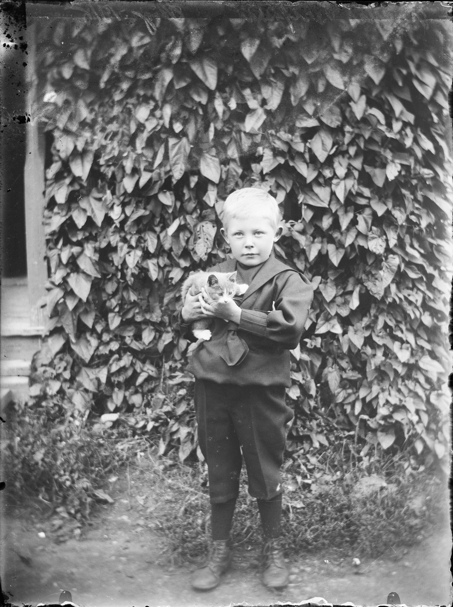 Skötsner-Edhlund, Boy Holding a Kitten in the Fame, Harg, Uppland