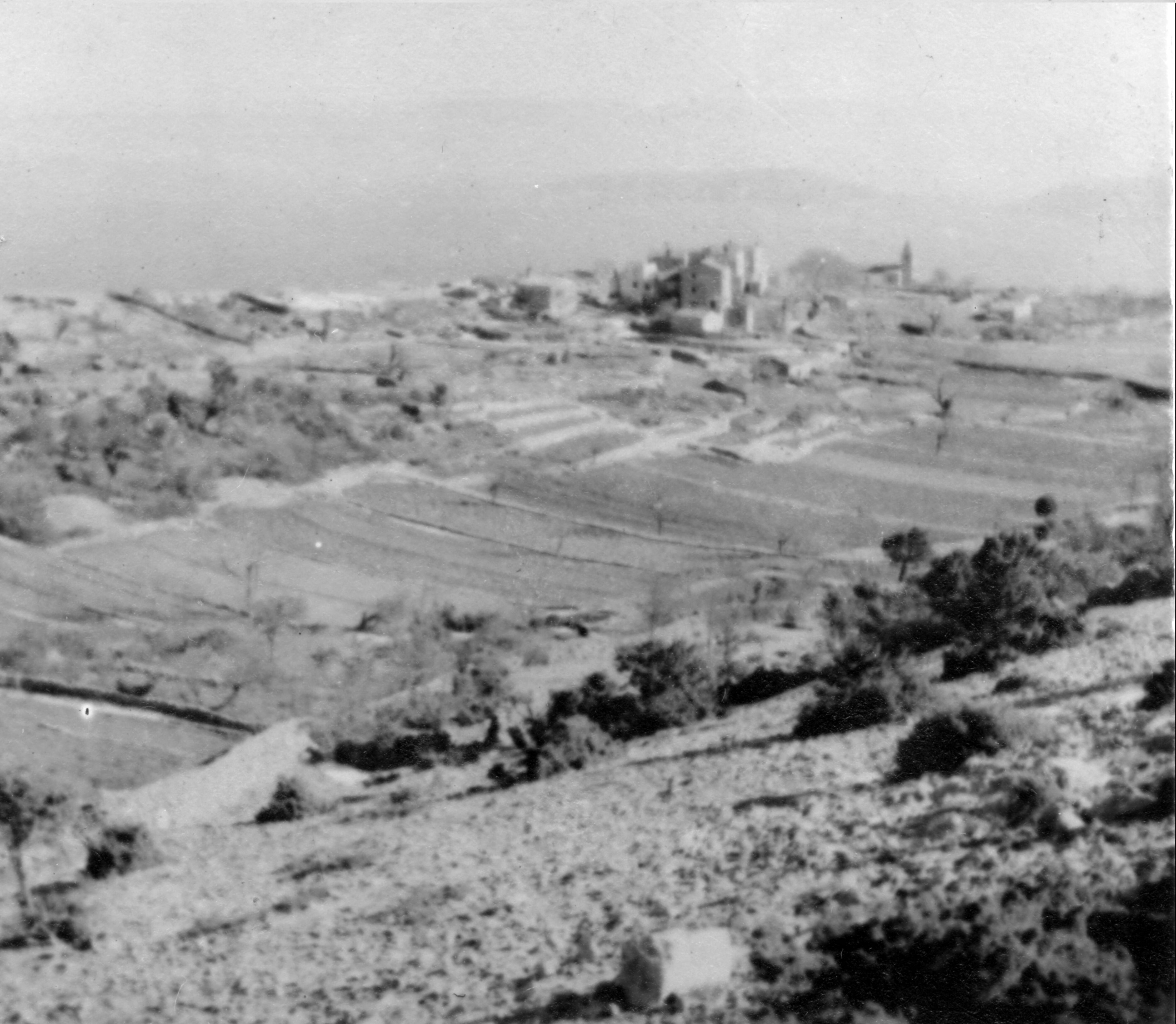 Branko Fučić, Orlec (otok Cres), panorama