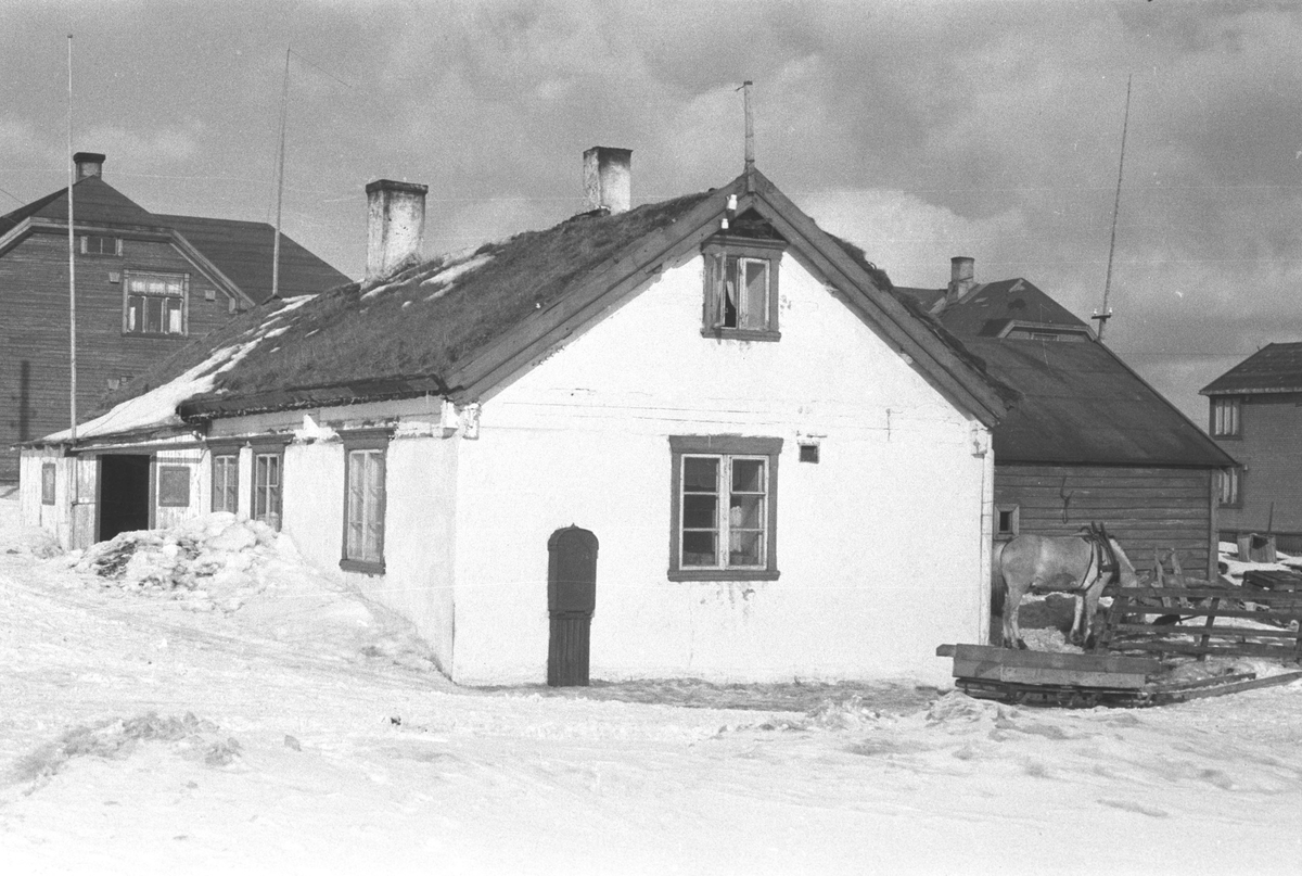 Ola Hanche-Olsen, NO.F004047