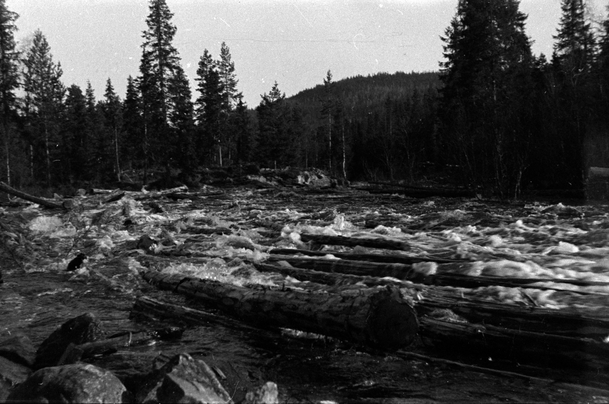 Adolf Skjegstad, TØMMERFLØTING, ELV, FOSS, UKJENT STED.