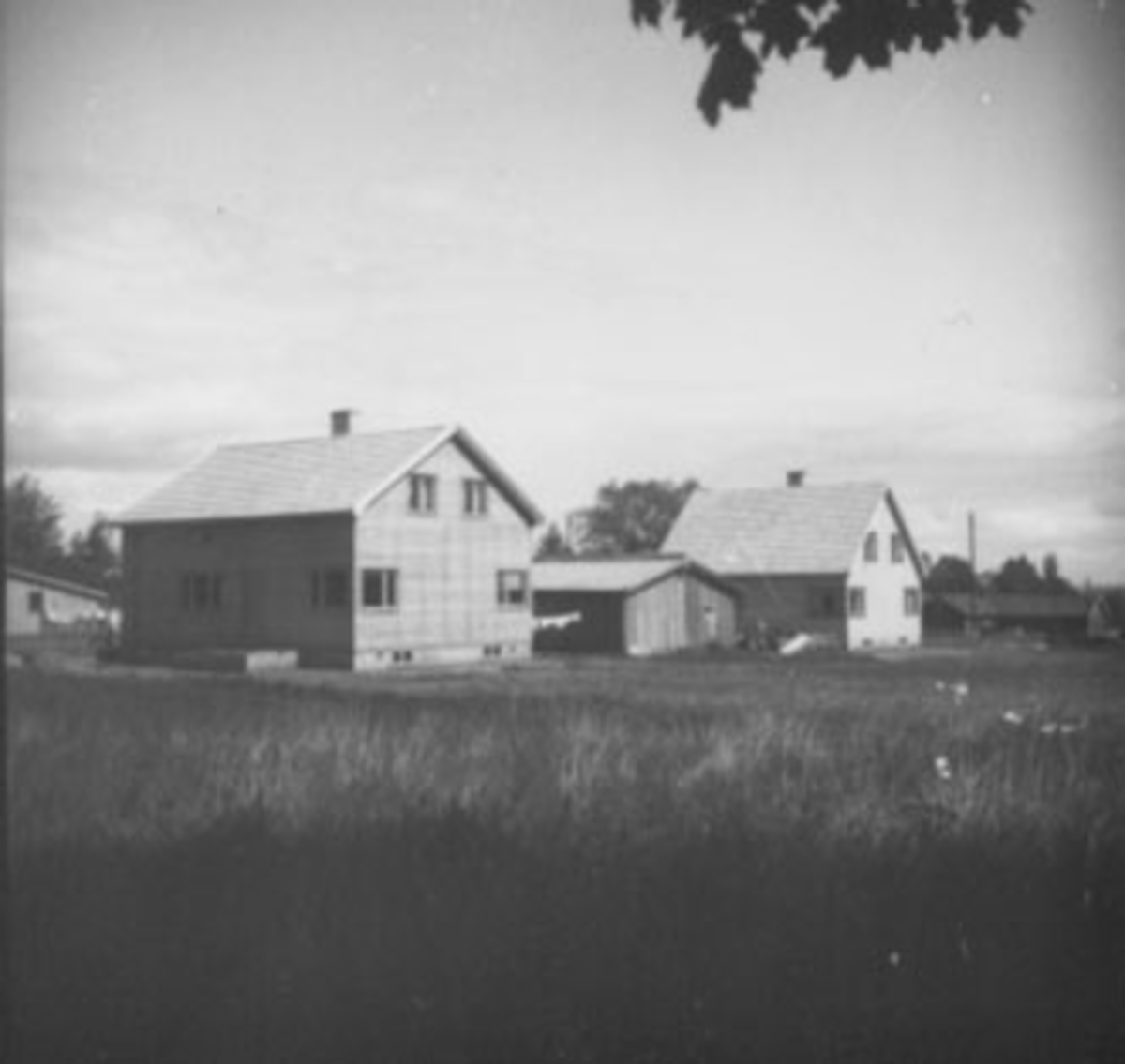 Anno Domkirkeodden, OVERSIKT, BOLIGSTRØK,
