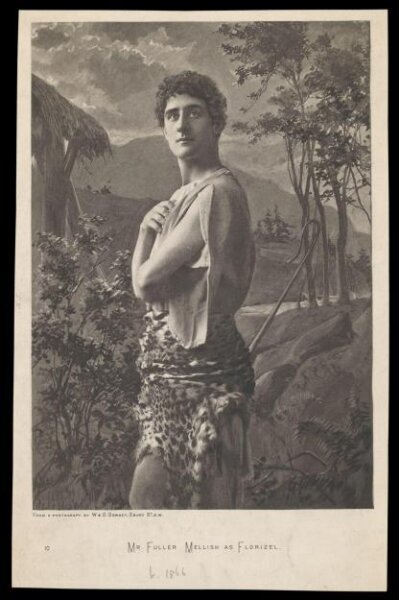 W. & D. Downey, H Beard Print Collection