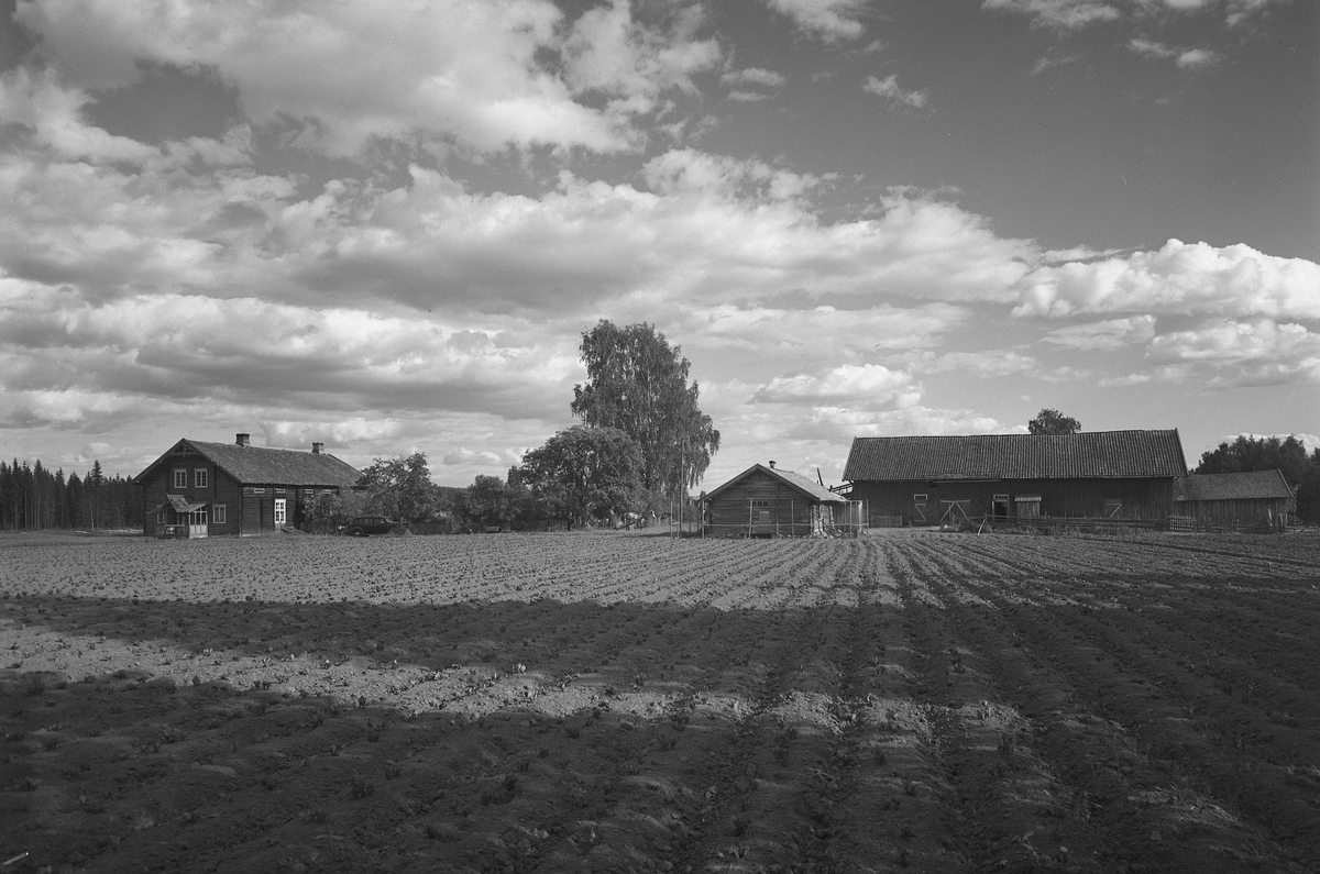 Anno Domkirkeodden, EKSTR: GARDSTUN, SANDBERG, LØTEN. Se Løtenboka, bind 1. Bygdeboka fra 1949, side 27.