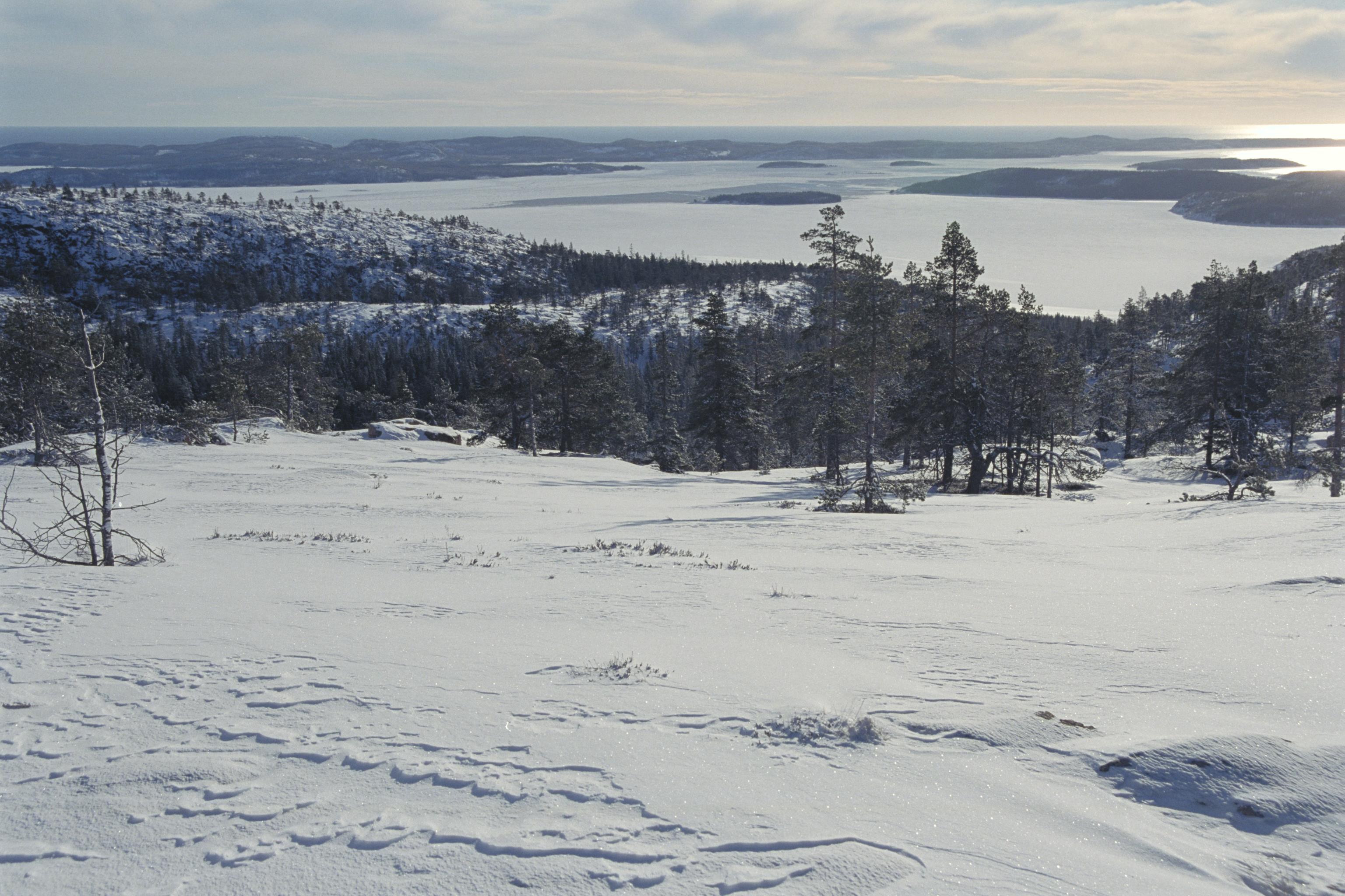Bengt A Lundberg, Skuleskogens Nationalpark