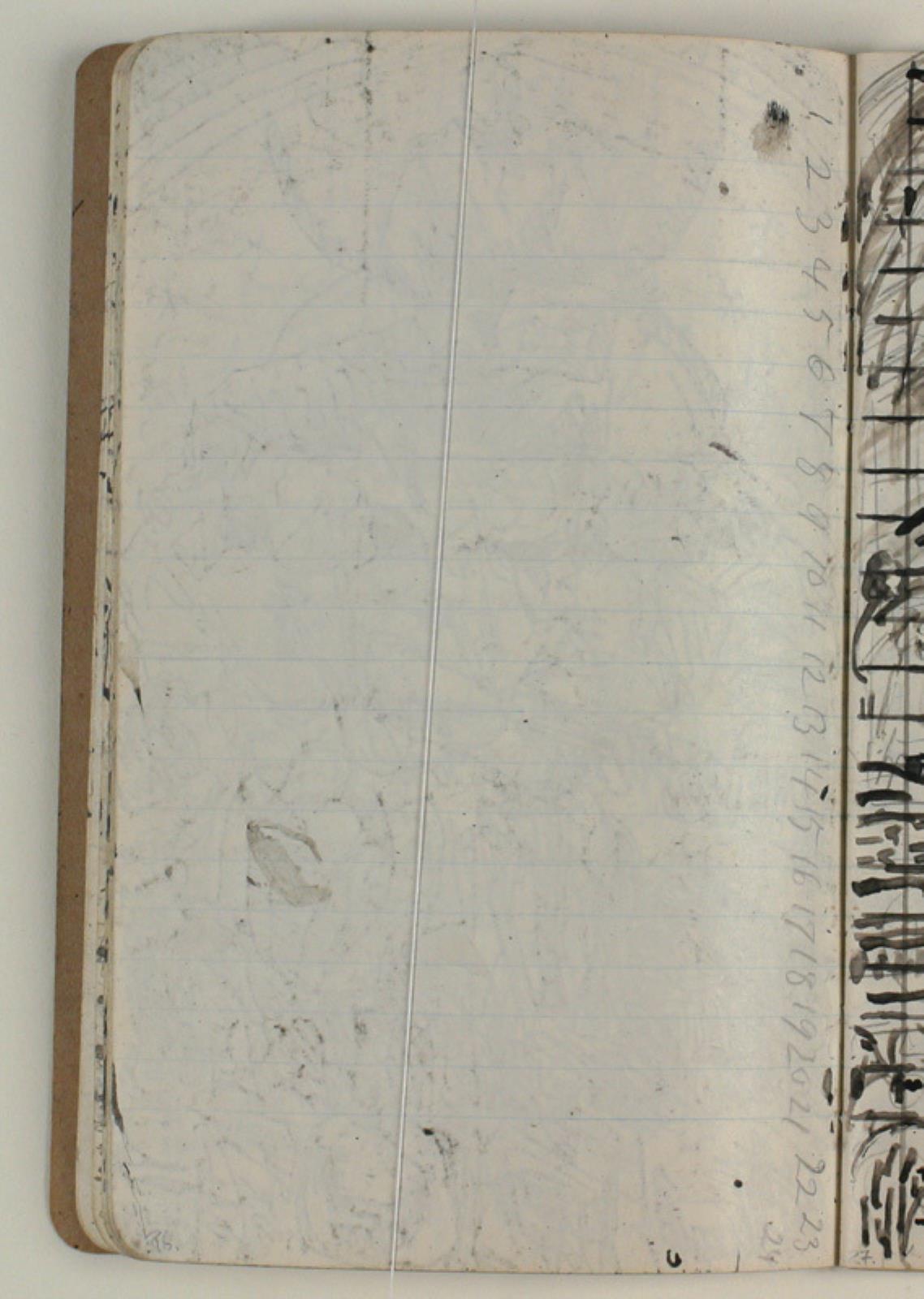 Niels Larsen Stevns, Blank