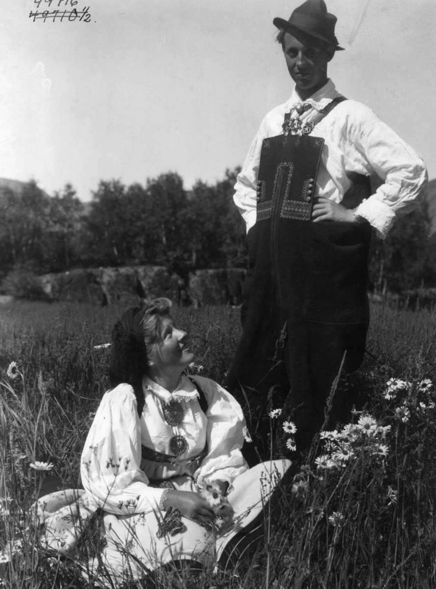 Anders Beer Wilse, Grupper, Wilse original