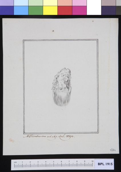 M Houtman, Unidentified subject: bovine feet