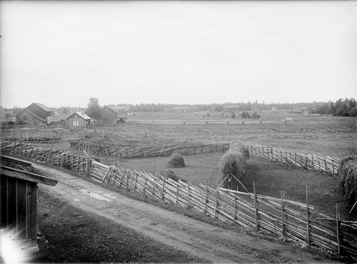 Paul Sandberg, Bymiljö i Hållen, Hållnäs socken, Uppland, sannolikt 1920-tal